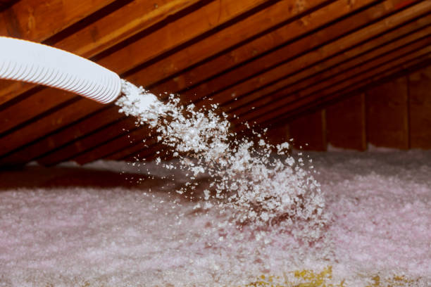 Best Crawl Space Insulation  in Woody, WA