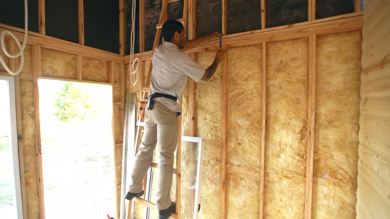 Best Eco-Friendly or Green Insulation Solutions  in Woody, WA